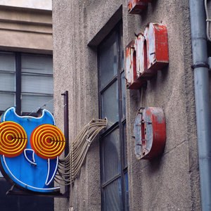Electric Owl